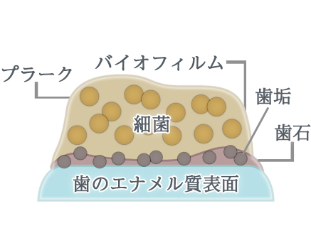 バイオフィルムとは